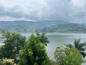 IMG_1878