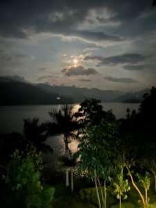 IMG_2087
