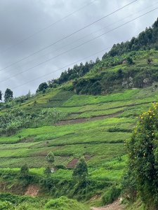IMG_2167